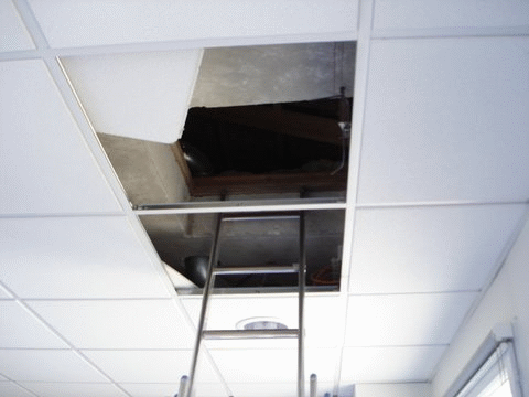 NETTOYAGE DESINFECTION VMC: Accs au rseau par les faux-plafonds